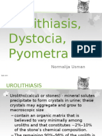 Urolithiasis, Pyometra, Dystocia
