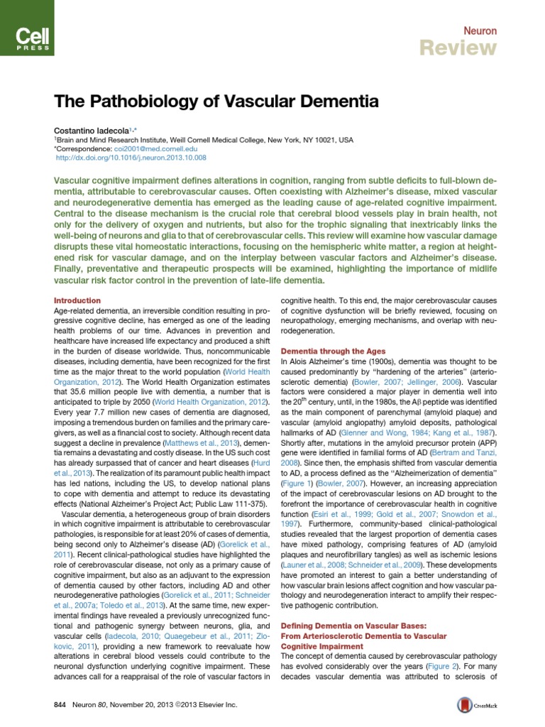 Review The Pathobiology of Vascular Dementia PDF Dementia Blood Vessel