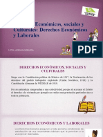 Derechos Económicos y Laborales