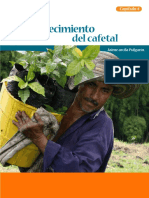 Establecimiento y Administración Del Cafetal - Capitulo4 PDF