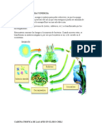 EL FLUJO DE MATERIA Y ENERGIA.docx