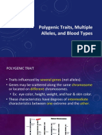 Polygenic Traits Multiple Alleles and Blood Types