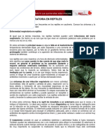 Enfermedad respiratoria en reptiles.pdf