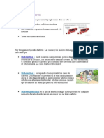 CAUSAS DE LA DIABETES BIL.docx