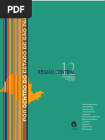 LIVRO_MACIEL, L E BAENINGER, R. região central.pdf