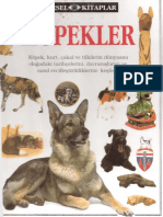 Köpekler