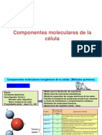 Biomoleculas