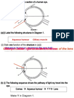 11 Extra Excercise Paper 2