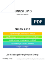 Fungsi Lipid