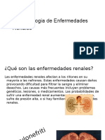 Enfermedades Renales FINAL