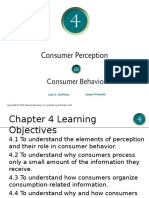 schiffman_cb11_ippt04.ppt