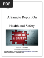 Sample Report On Health and Safety by Instant Essay Writing