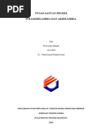 Download Poliakrilamida Dan Akrilamida by Puteri Aulia Rahmah SN341158200 doc pdf