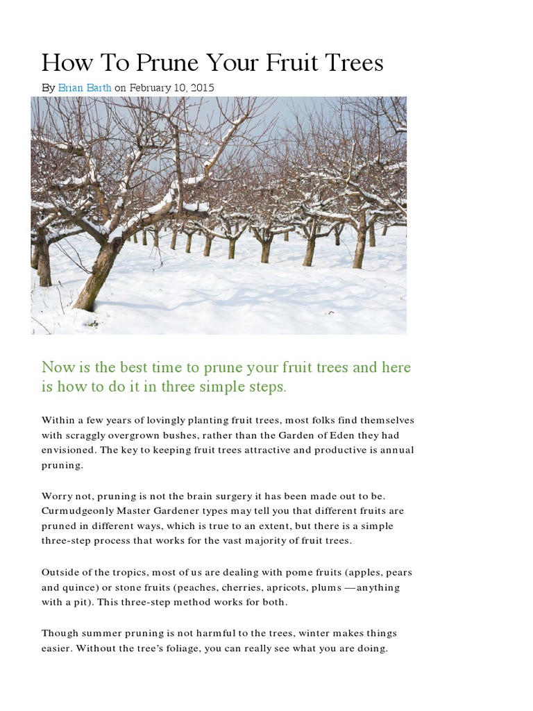 Easy Fruit Tree Pruning Guide | PDF | Pruning | Trees