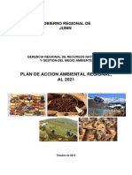 6. Plan de Acción Ambiental Regional, al 2021.pdf