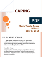 Pulp Caping