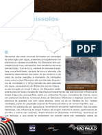 Gleissolos.pdf