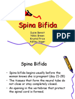 Spina Bifida