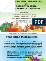 Tugas Klp Metabolisme Vitamin b5, b6