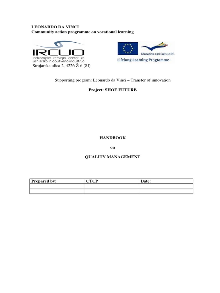 Quality Management Footwear PDF Shoe Skin