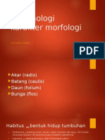 Terminologi karakter morfologi