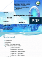 Biodépolution