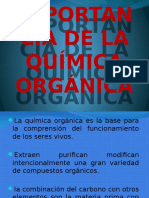 Importancia de La Química Orgánica Caliche