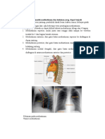 PR Radiologi Ke2 Yg Ada Soft