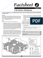 Cell surface.pdf