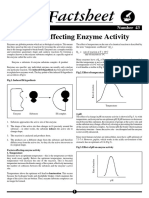 Enzyme Activity.pdf