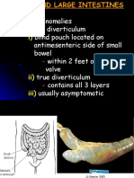 Small and Large Intestine 