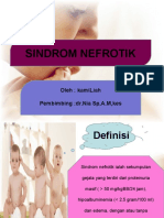 lia sindrom nefrotik.pptx