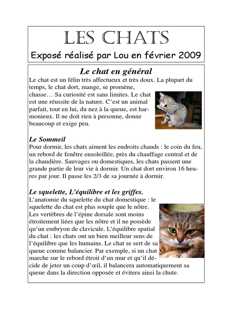 Les Chats Chats Tractus Gastro Intestinal