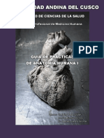 Guia de Practicas de Anatomia I - Torax
