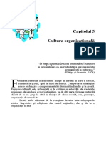 6.cultura organizationala.pdf