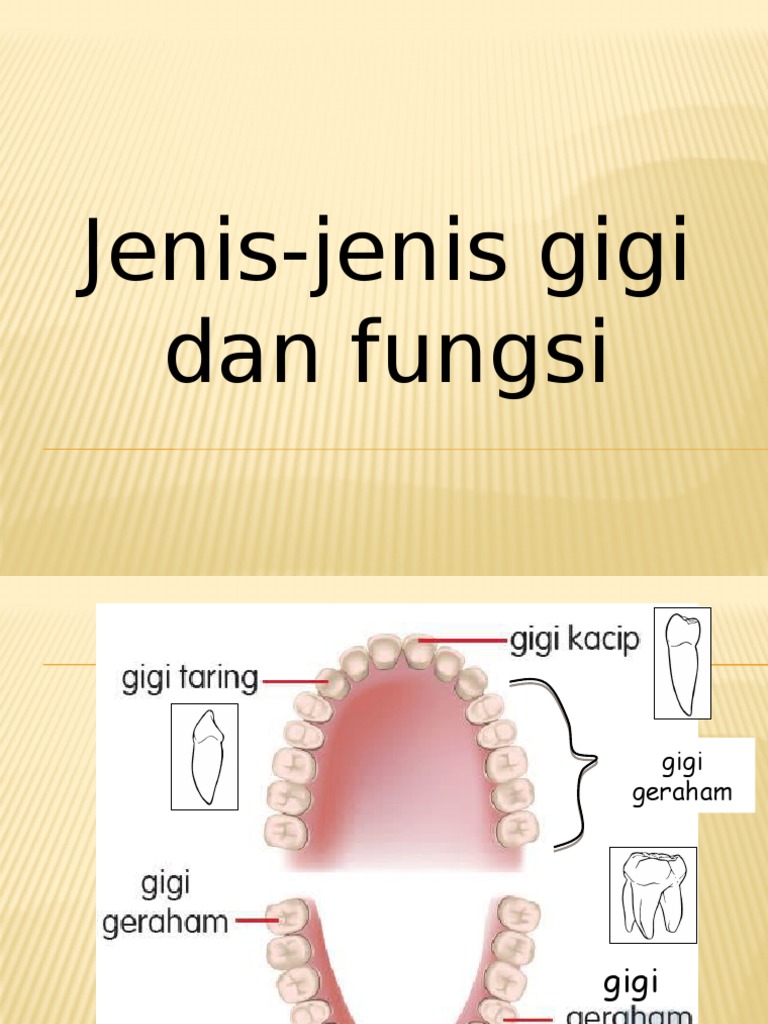 Gigi Manusia Pdf