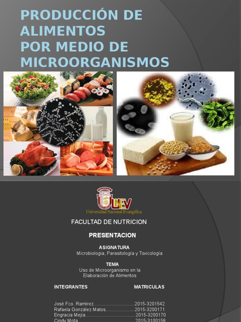 MICROORGANISMOS en La Produccion de Alimentos | PDF | Yogur | Productos ...