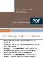 Kelainan Kongenital