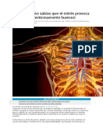 5 cosas que no sabías que el estrés provoca en ti.docx
