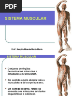 Aula 04 - Sistema Muscular...2017.1.pptx
