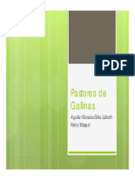 5_Pastoreo_de_Gallinas_Erika_Aguilar.pdf