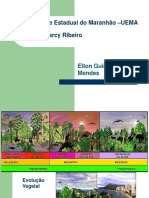 docslide.com.br_1-aula-morfologia-e-anatomia-vegetal (1).pdf