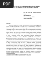 Artigo- Perfil Dos Usuários Do CAPSi
