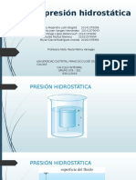 Presion Hidrostatica - Integral