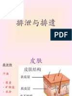 排泄与排遗