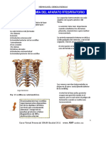 Anatomía Del Ap Respiratorio PLUS Medica PDF