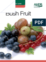 Bush Fruit CWG web.pdf