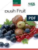 Bush Fruit CWG Web PDF