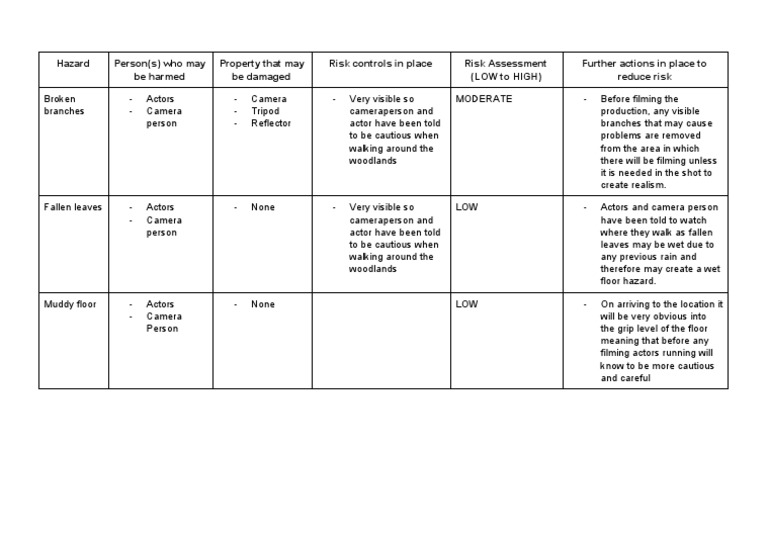 Risk Assessment - Wandering | PDF | Risk | Safety