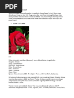 Download Sejarah Singkat Tanaman Mawar by ddi_awan SN34137253 doc pdf